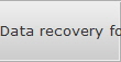 Data recovery for Lake Charles data